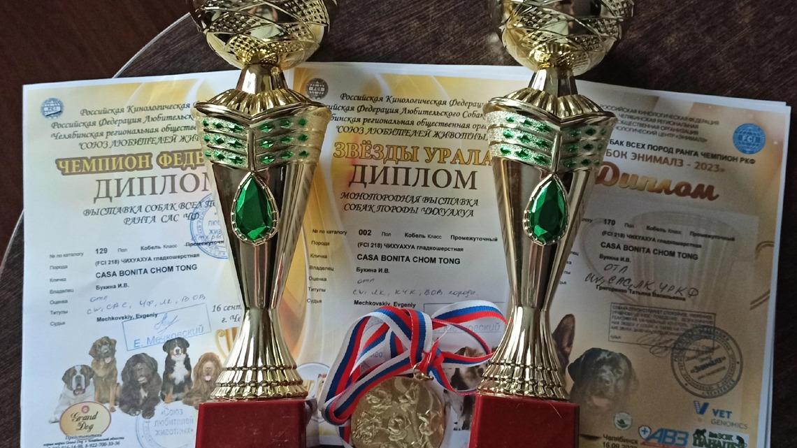 Стандарт FCI